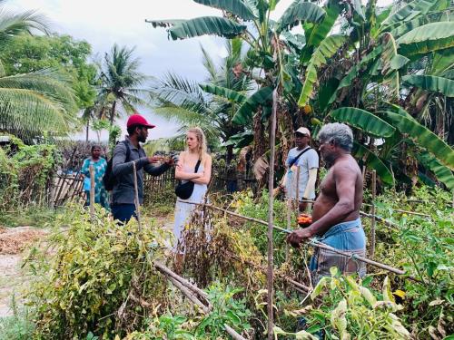 a group of people standing in a banana plantation at Delft Village Stay in Delft East