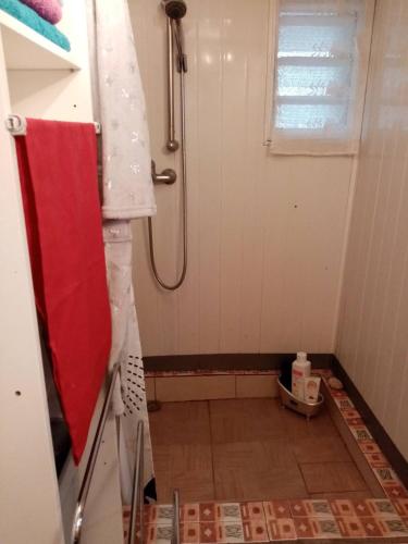 bagno con doccia e pavimento piastrellato di Chalet accueillant à Les Makes avec terrasse & parking inclus a Bellevue