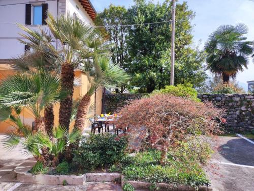 a garden with palm trees and a table in front of a house at Apartment Elian by Interhome in Consiglio di Rumo