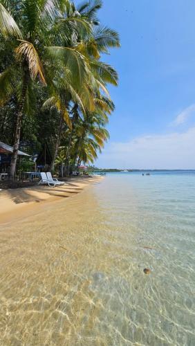 einen Strand mit einer Gruppe von Palmen und dem Wasser in der Unterkunft Hotel Blue Olas in Bocas del Toro