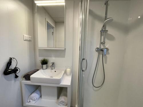 a bathroom with a sink and a shower at Holiday Home Tiny Haus Marion by Interhome in Riedenburg