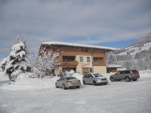 Apartment Wildkogel 1 by Interhome