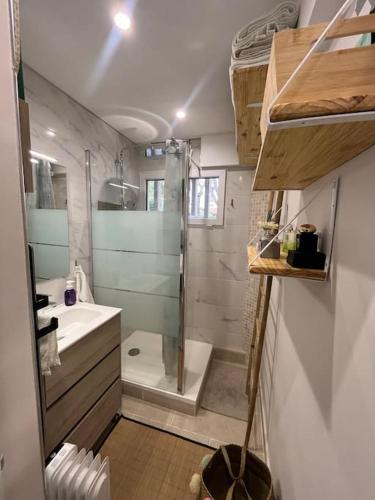 une salle de bain avec douche et lavabo dans l'établissement Appart près de toutes commodités 1 ch 1 lit 2 p, à Aix-en-Provence