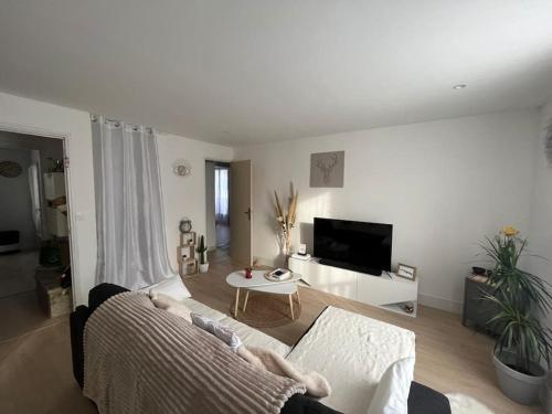 un salon avec un canapé et une télévision dans l'établissement Appart près de toutes commodités 1 ch 1 lit 2 p, à Aix-en-Provence