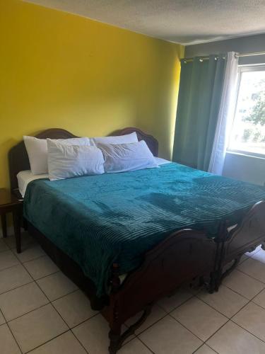 Summer Shades at Turtle Towers