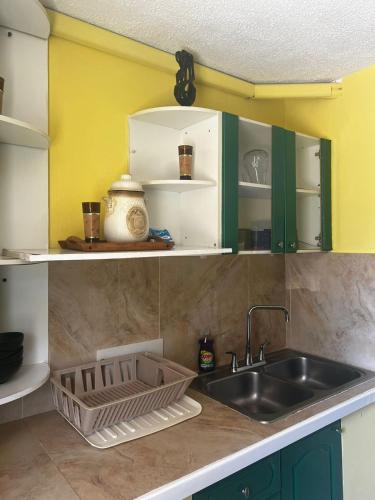Dapur atau dapur kecil di Summer Shades at Turtle Towers