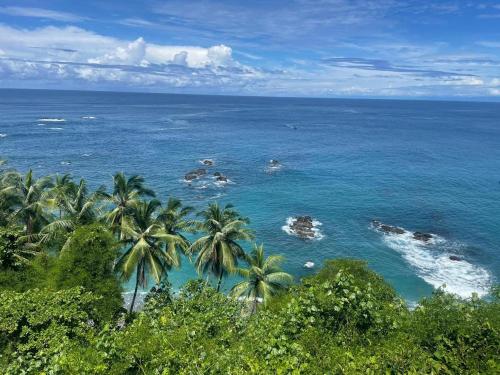 a view of a beach with palm trees and the ocean at Luminosa Uvita Hostel in Uvita