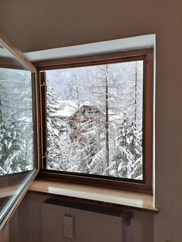 a window with a view of a snow covered forest at Cèsa Pier Sellaronda Dolomiti in Campitello di Fassa
