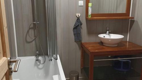 a bathroom with a shower and a sink and a tub at Gîte Les 3 Cerfs - 3 étoiles in Plainfaing
