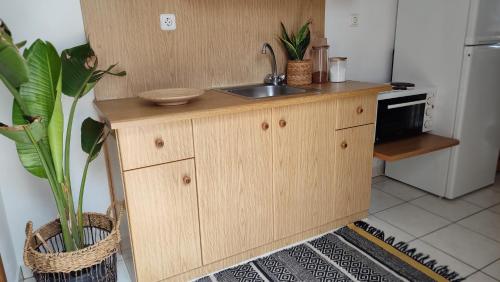 a kitchen with a sink and a counter with plants at Plakourakia in Finikas