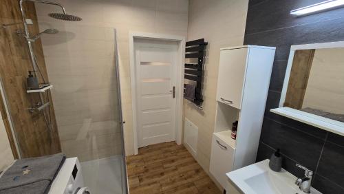 ein Bad mit einer Dusche, einem Waschbecken und einem Spiegel in der Unterkunft Apartament Gdańsk Sobieszewo in Danzig