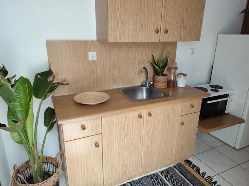 a small kitchen with a sink and a stove at Plakourakia in Finikas