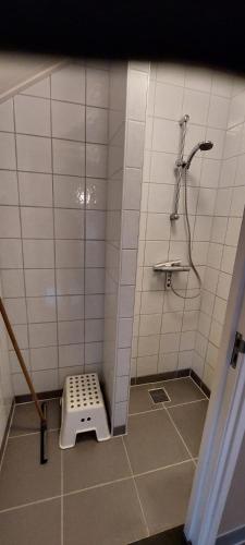 a bathroom with a shower with a scale on the floor at Kleine Pipowagen op natuurcamping in Wedde