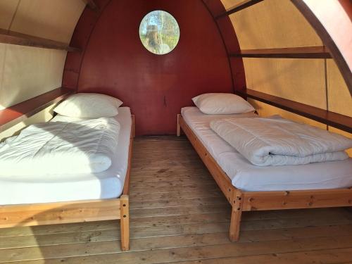 twee bedden in een kleine kamer met rode muren bij Tenthutje BuitenWedde in Wedde