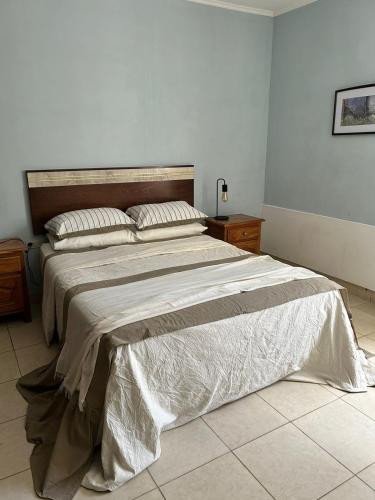 ein Schlafzimmer mit einem großen Bett in einem Zimmer in der Unterkunft Ahicito - Casa en Tres Cerritos in Salta