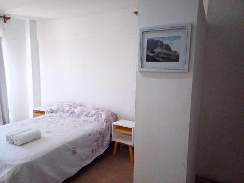 um quarto com uma cama e uma fotografia na parede em GARCIA INN MZA con desayuno seco em Mendoza