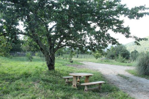 zwei Bänke unter einem Baum neben einer unbefestigten Straße in der Unterkunft une chambre dans un gite rural in Saint-Jean-du-Gard