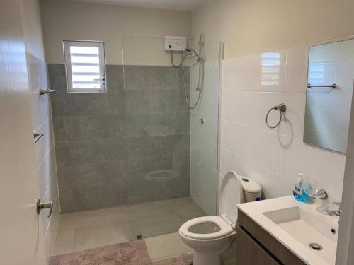 a bathroom with a shower and a toilet and a sink at Blue Lagun Apartment B in Willemstad