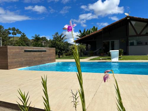 a purple flower on a plant next to a swimming pool at Sitio Real Cascata in Teresópolis