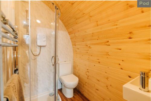 y baño con aseo y ducha. en Firbush Lochside Lodges en Killin