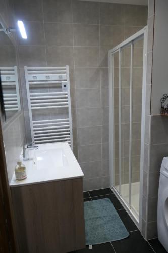 a bathroom with a sink and a shower at A la croisée des châteaux 3 étoiles in Ouchamps