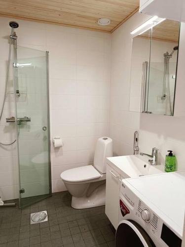 a bathroom with a shower and a toilet and a sink at Rauhallinen studio isolla parvekkeella in Joensuu