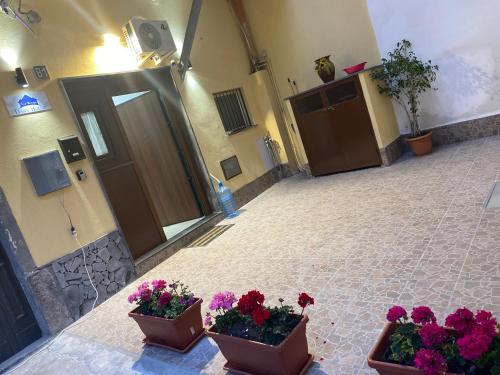 dos macetas de flores sentadas en una mesa en un edificio en Dany house, en Catania