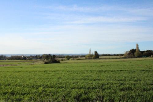 a field of green grass with trees in the distance at Les Blés Dorés et Les Graines de Lin, 2 gîtes à la Ferme avec moutons et piscine, à côté de Beaune in Corgengoux