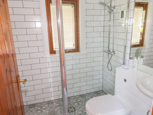 a bathroom with a shower with a toilet and a sink at Thistle Dubh "Doo" in Dalbeattie