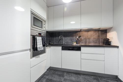 Ultra Central Large 2 Bdr near Massena Square