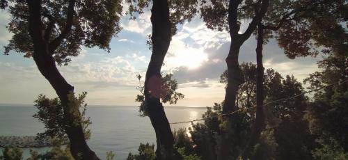 Φυσικό τοπίο κοντά σε αυτός ο ξενώνας