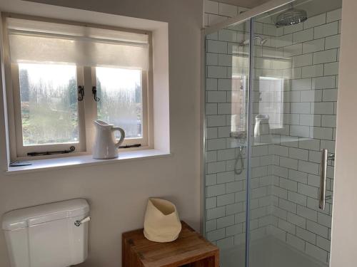 a bathroom with a shower and a toilet and a window at Guest Homes - The Teme Loft in Stockton on Teme