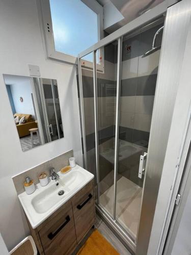 La petite salle de bains est pourvue d'une douche et d'un lavabo. dans l'établissement La maison castelpontine studio, à Pont-du-Château