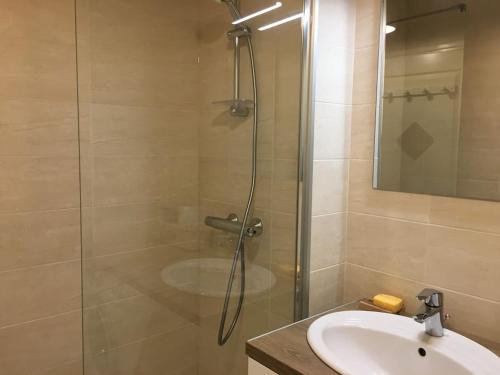 une salle de bain avec une douche avec un lavabo et un miroir dans l'établissement Appartement en rez-de-chaussée à Berck-Plage, à Berck-sur-Mer