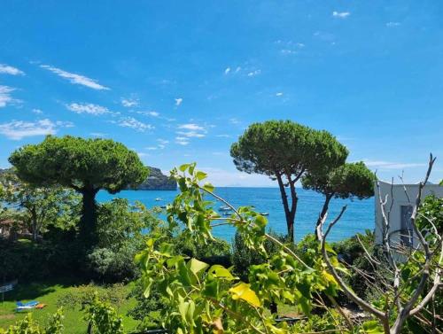 a group of trees with the ocean in the background at In Vacanza a Gaeta - Villa Nelda in Gaeta