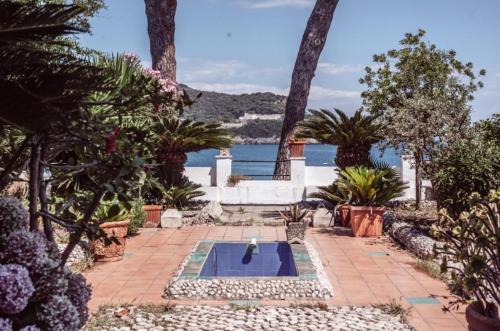 a swimming pool in the middle of a garden with palm trees at In Vacanza a Gaeta - Villa Nelda in Gaeta