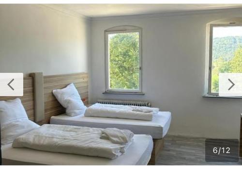 two beds in a room with two windows at Tacidur Home in Tuttlingen