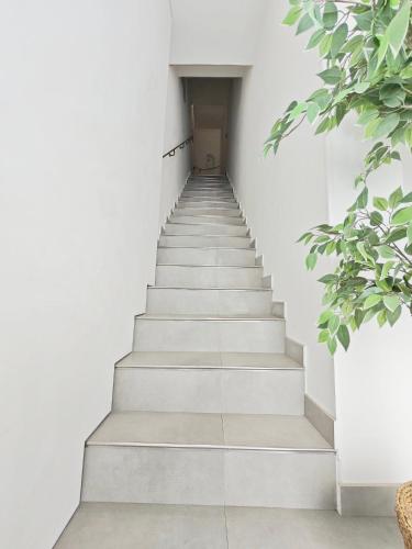 a stairway in a white building with a hallway at Cassis Loc - Chambre Meublée in Cassis