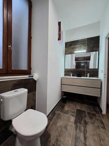 une salle de bain avec des toilettes blanches et un lavabo dans l'établissement L'avéjan 170 m² 3 chambres Alès centre ville, à Alès