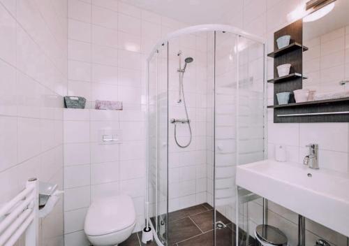 La salle de bains est pourvue d'une douche, de toilettes et d'un lavabo. dans l'établissement Das Luis, à Altenmarkt im Pongau