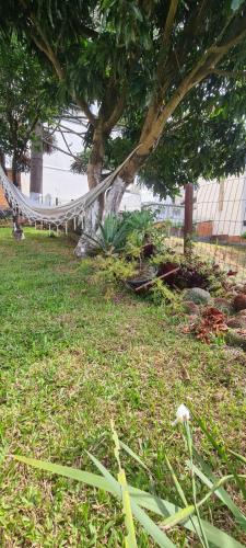 a hammock in the grass next to a tree at HOSTEL FAMILIA ZANATTA in Caxias do Sul