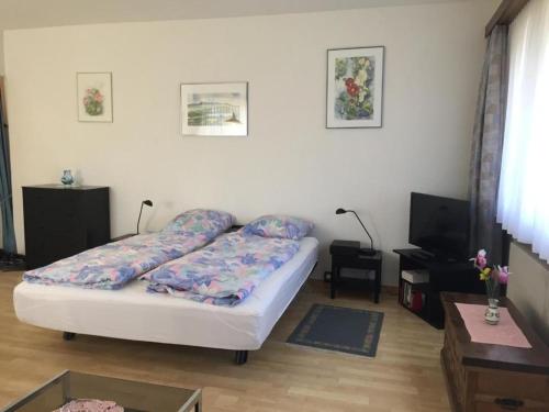 - un salon avec un lit et des oreillers dans l'établissement Appartamento Doris, à Locarno