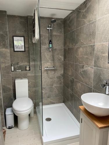 a bathroom with a shower and a toilet and a sink at Tiny romantic cottage for two. in Lostwithiel