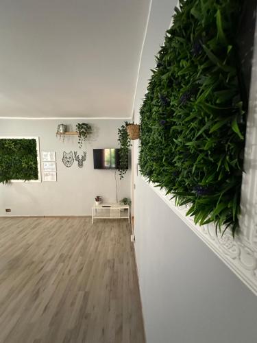 una sala de estar con una planta en la pared en DEA DREAMS - Marghera WiFi Metro a 2 passi, en Milán