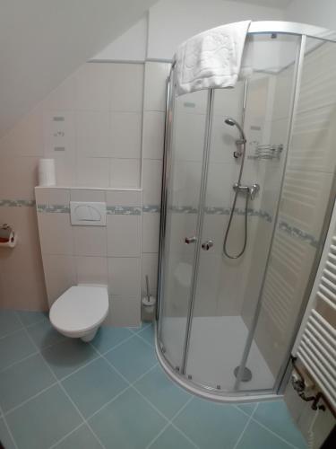 un bagno con doccia e WC di Apartmány u Gothaje a Rokytnice nad Jizerou