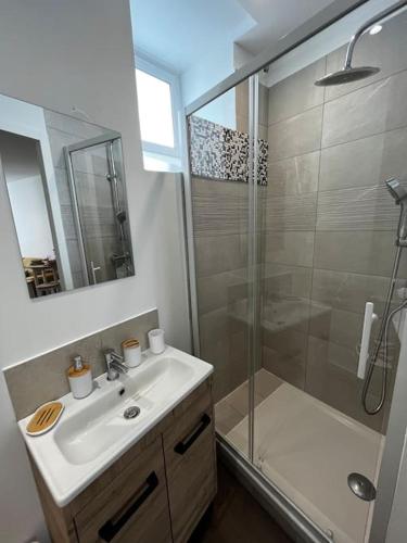 La salle de bains est pourvue d'un lavabo et d'une douche. dans l'établissement La maison castelpontine studio 2, à Pont-du-Château