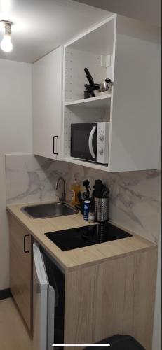 a small kitchen with a sink and a microwave at Le petit Treguier in Tréguier