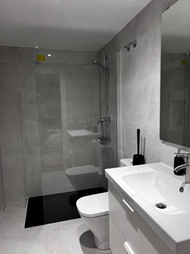 a bathroom with a toilet and a sink and a shower at SG APARTAMENTOS, SILIÓ 4-B in Valladolid