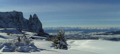 una montaña cubierta de nieve con árboles encima en Ferienwohnung in den Dolomiten mit traumhafter Aussicht, en Kastelruth