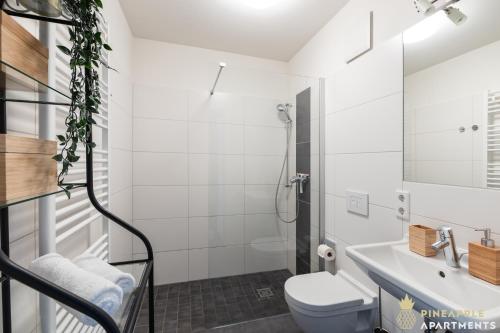 ein Badezimmer mit Dusche, Toilette und Waschbecken in der Unterkunft PINEAPPLE APARTMENTS - Studio-Apartment am Zwinger in Dresden
